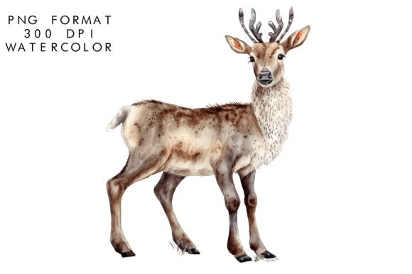 Download Watercolor Reindeer Clipart - Deer Collection