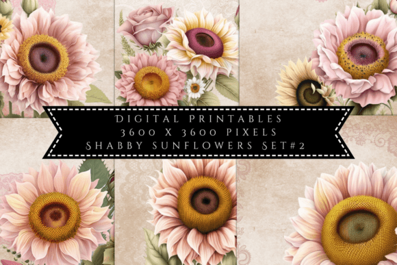 Download Shabby Sunflowers Illustrations Set 2 - Illustrations Collection
