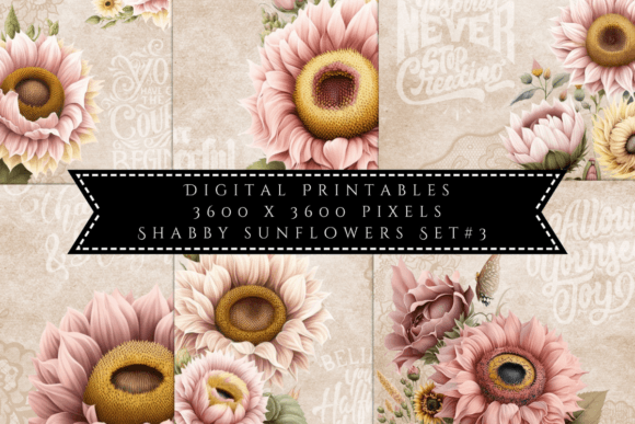 Download Shabby Sunflowers Illustrations Set 3 - Illustrations Collection