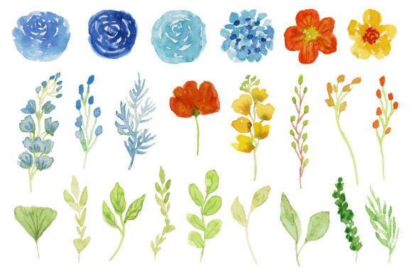 Download Spring and Summer Flower Watercolor - Spring Collection